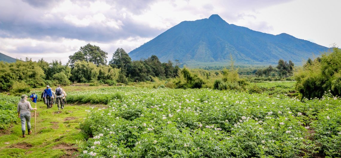 Rwanda Volcanoes-National-Park